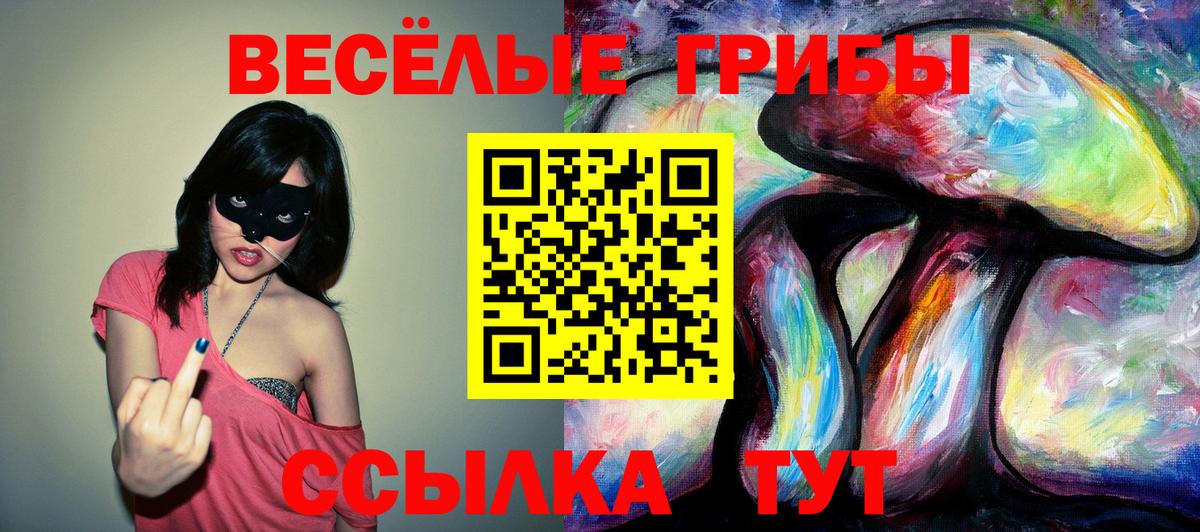 Галлюциногенные грибы Psilocybine cubensis  Вход с VPN  Новоалтайск 