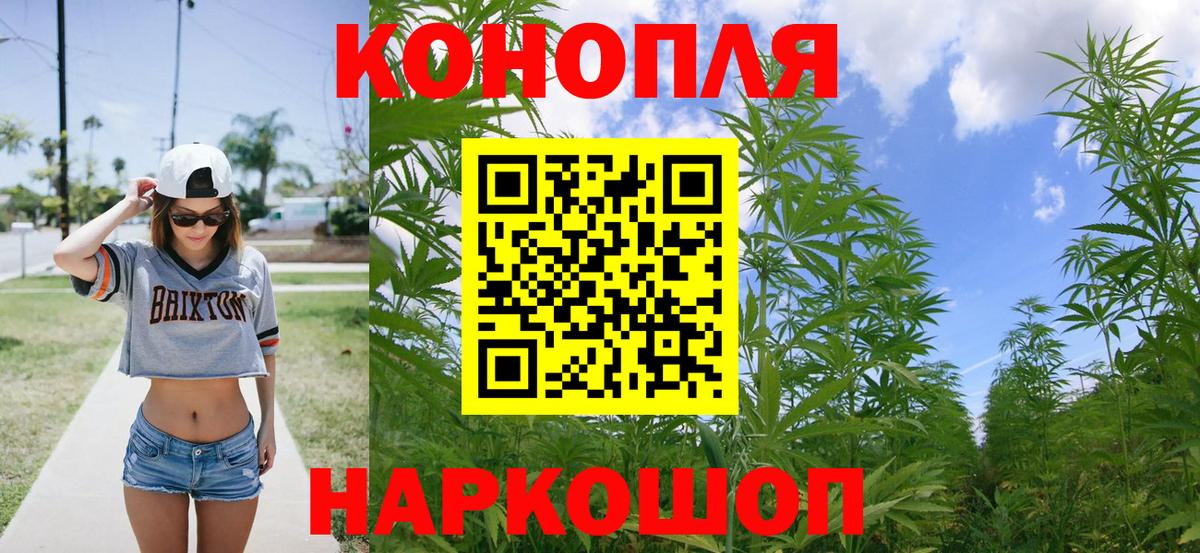 Марихуана гибрид Новоалтайск